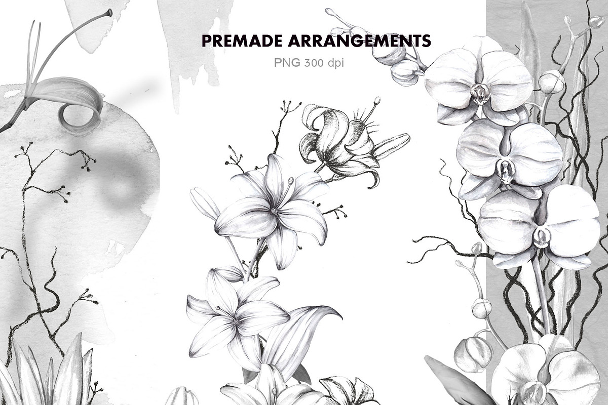 IKEBANA. Botanical Winter Kit., an Illustration by Pink Ocean (Photo 8 of 16)