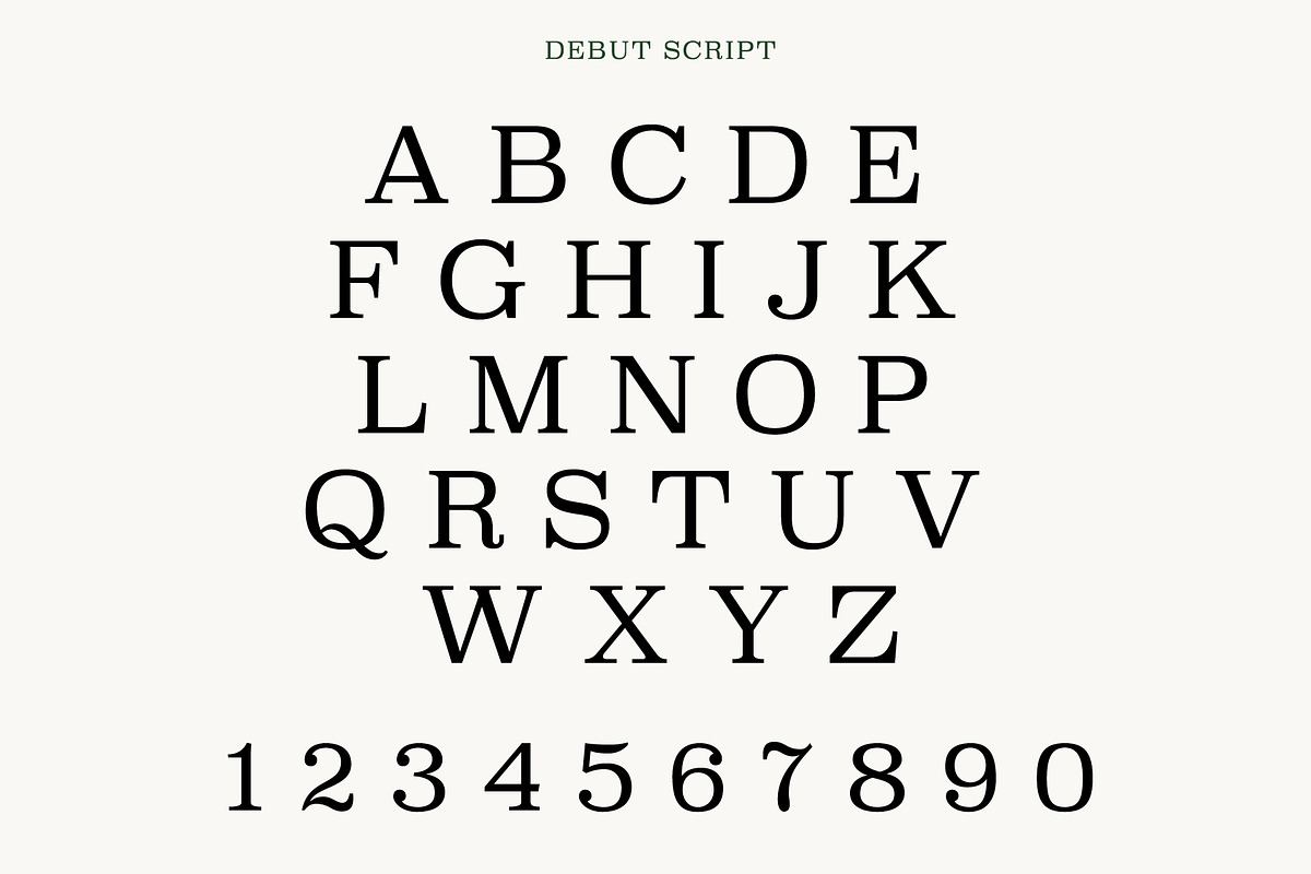 Debut - Serif & Script Duo, a Script Font by Loudoun Design Co. (Photo 7 of 9)