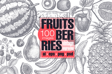 Fruits and berries. Big set.