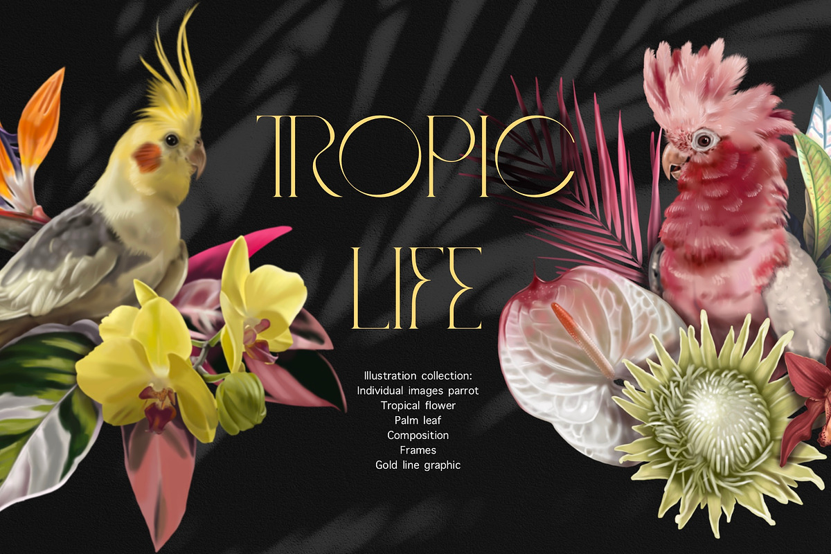 Tropical life. 100+ Parrot & flower, an Illustration by NNclipart (Photo 1 of 14)