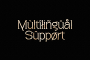 Pagers - Display Serif, a Serif Font by tebaltipislab (Thumbnail 5 of 15)
