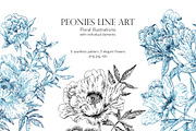 Peonies Line Art, a Decorative Illustration by Anastasia (Thumbnail 1 of 9)