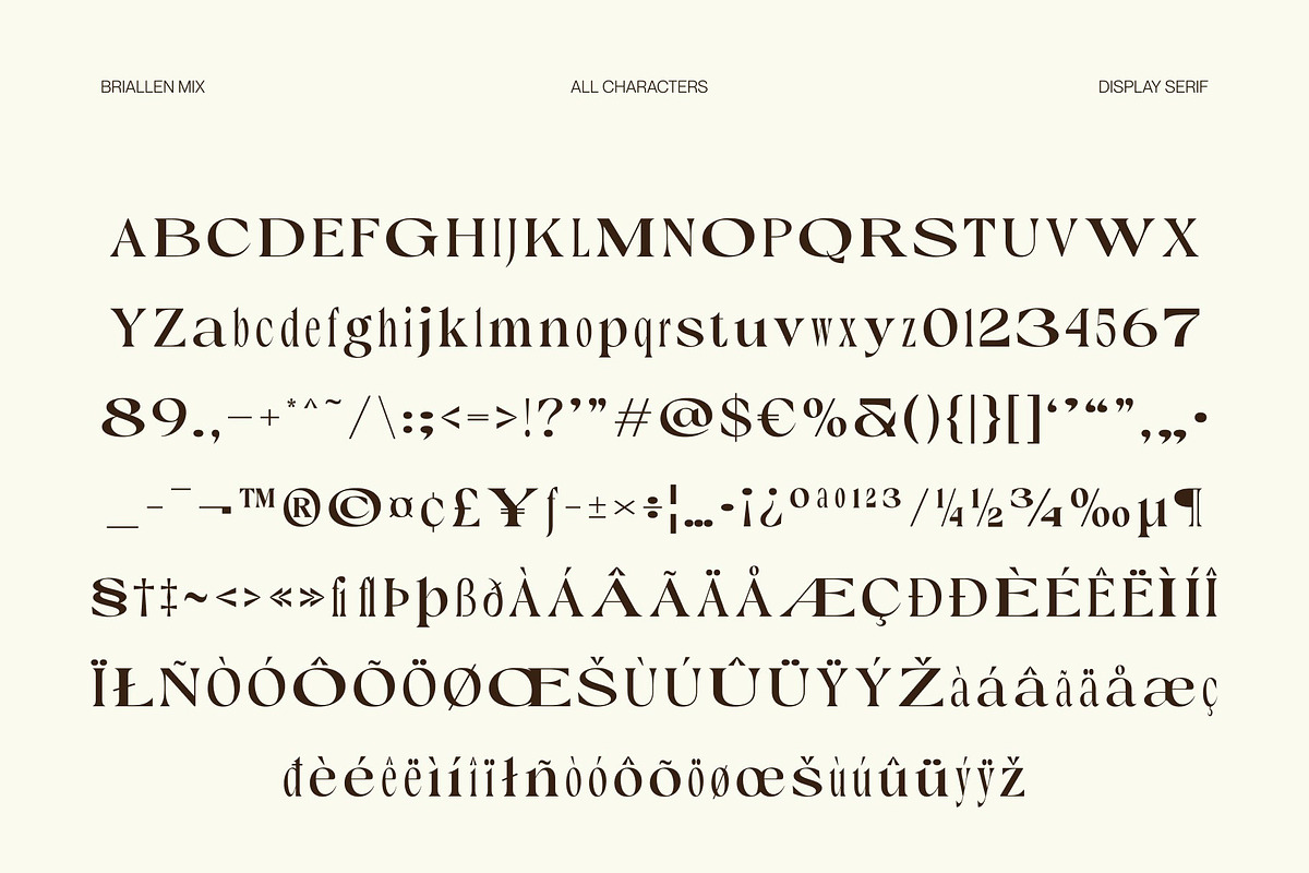 Briallen Mix, a Serif Font by Craft Supply Co. (Photo 8 of 8)