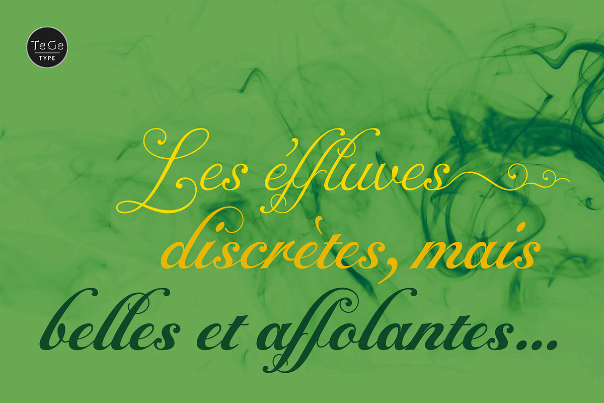 Alipe Script, a Script Font by TeGeType foundry (Photo 3 of 6)