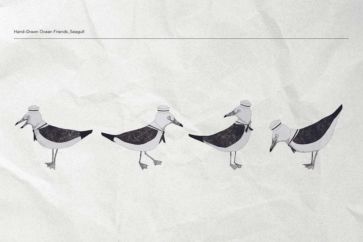 The Seagulls and  Their Sea Friends, an Animal Illustration by Kurakoza (Photo 2 of 18)