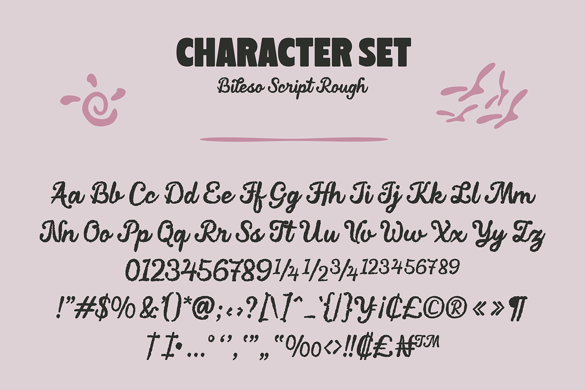 Bileso Script Font, a Script Font by Marvadesign (Photo 9 of 10)