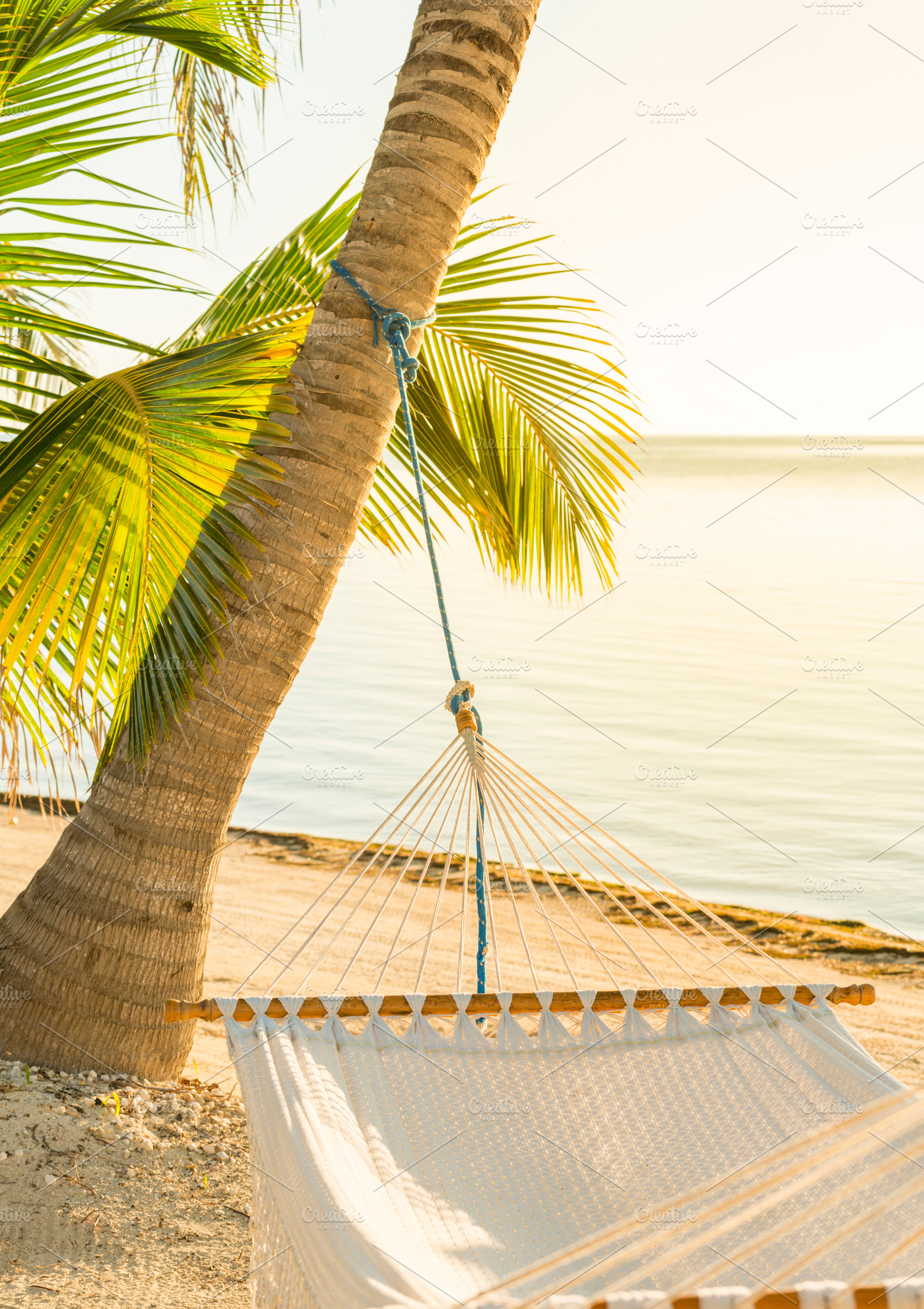 Tranquil Beach Hammock, a Holiday Photo by THP Creative
