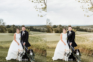 10 WEDDING FILM LIGHTROOM PRESETS