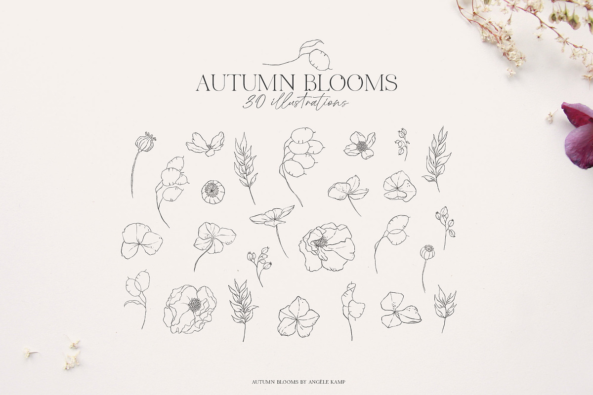 Autumn Blooms watercolor flowers, an Illustration by Angele Kamp (Photo 6 of 8)