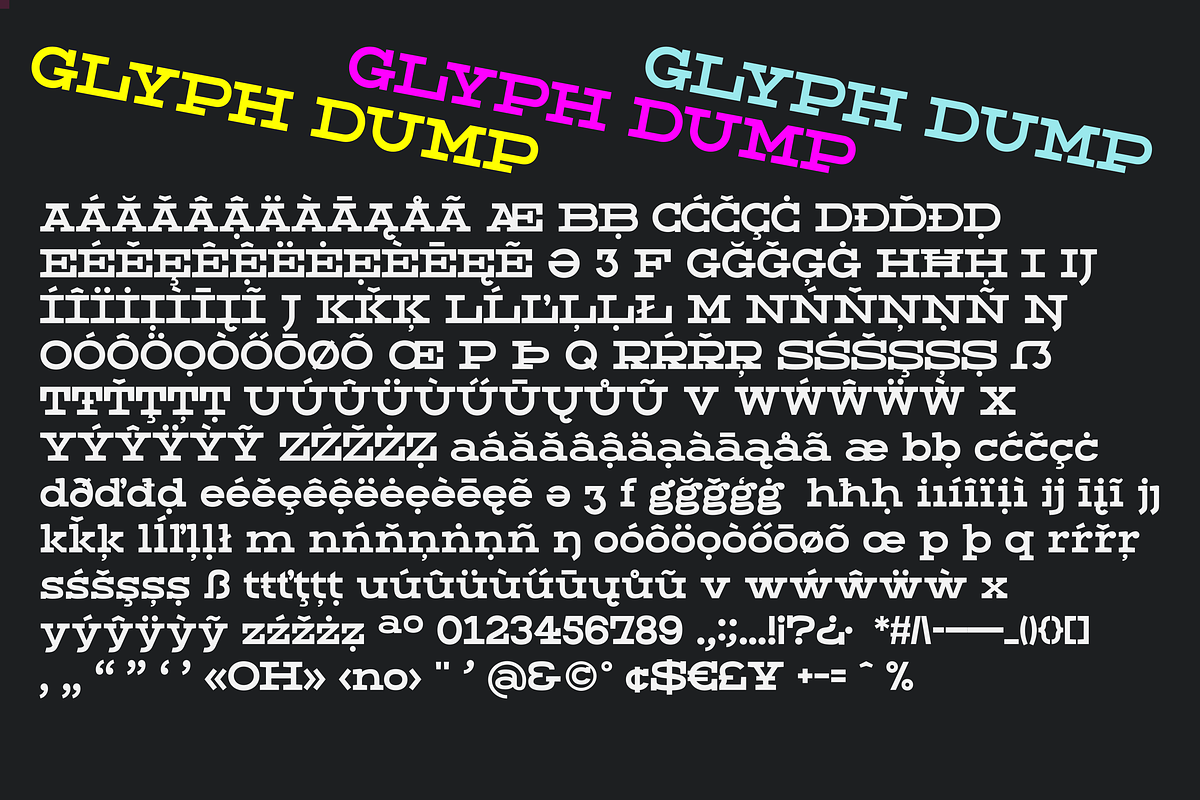 Dried Plums - Display Font, a Serif Font by Suolahti Type (Photo 10 of 11)