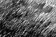 Skech, a Texture Graphic by MHLY (Thumbnail 2 of 2)