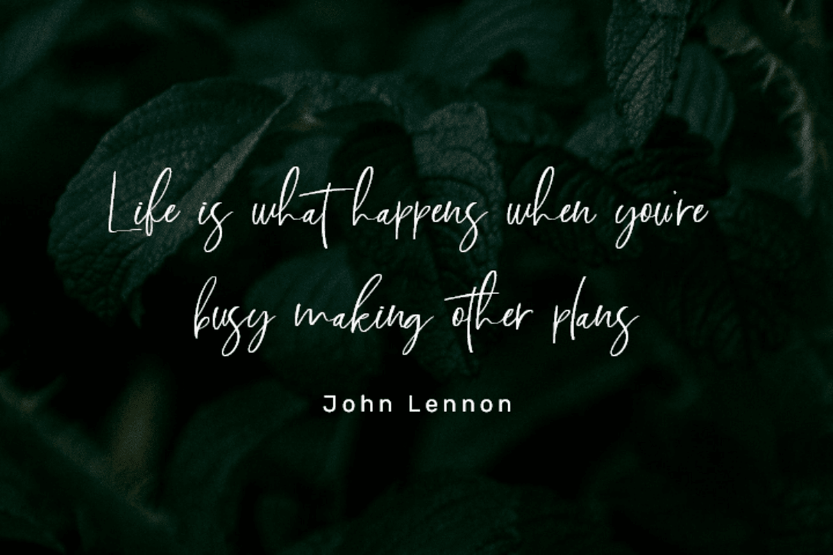 Cinthia Bloom: Elegant Font, a Handwritten Font by Jogiia Digital (Photo 3 of 5)