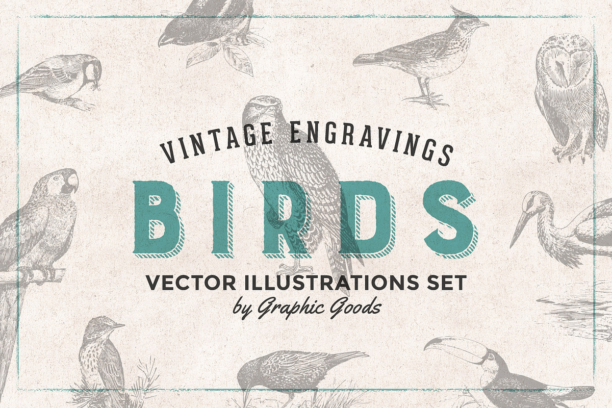 Birds Engravings Set, an Object Graphic by Graphic Goods (Photo 1 of 6)