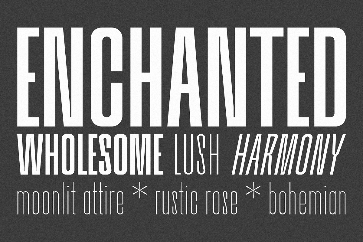 Bersekers Family - Condensed Sans, a Sans Serif Font by Eotype Studio (Photo 3 of 13)