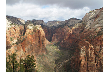 View from the viewpoint on top of featuring zion, park, and national, a Nature Photo by reisegraf.ch