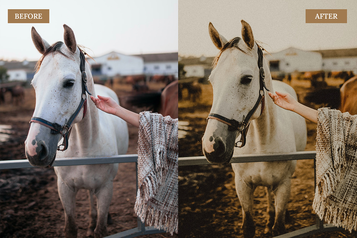 Moody Film Lightroom Presets, an Action Add-On by Eden Origin Studio (Photo 4 of 10)