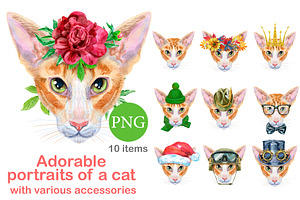 Portraits of oriental cat, an Animal Illustration by Watercolor fantasy