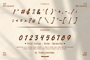 Vintage Fortuin Brush Script Font, a Handwritten Font by Templatiostudio (Thumbnail 9 of 12)