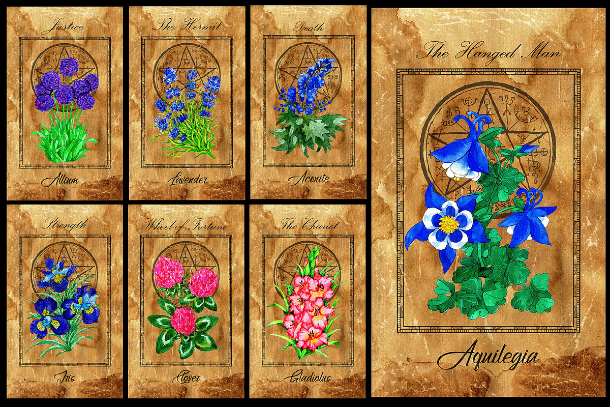 Enchanted flowers tarot deck, a Decorative Illustration by Samiramay (Photo 3 of 12)