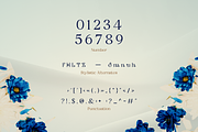Fyorin Elegance Serif Font, a Serif Font by Rasio Studio (Thumbnail 3 of 11)