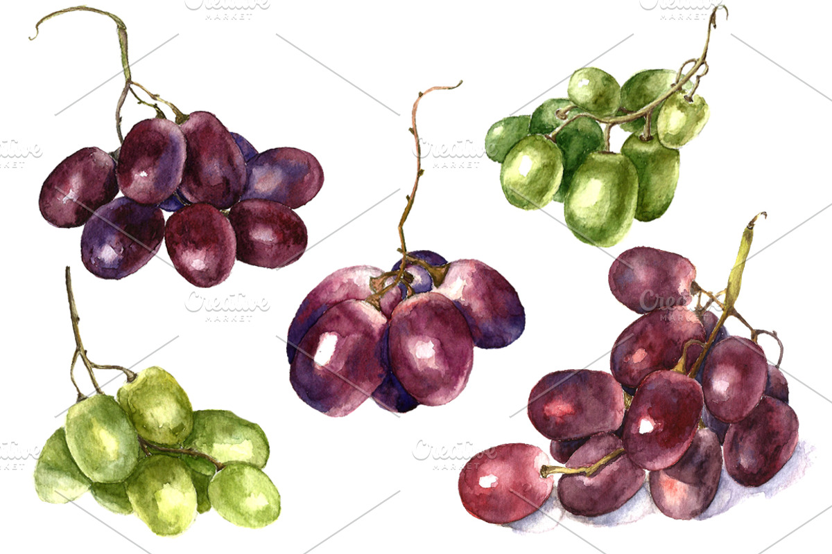 Wine and winery products watercolor, a Food Illustration by Vikeriya (Photo 4 of 8)