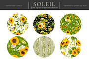 Soleil Floral Patterns & Clip Art, an Object Graphic by Eclectic Anthology (Thumbnail 6 of 13)