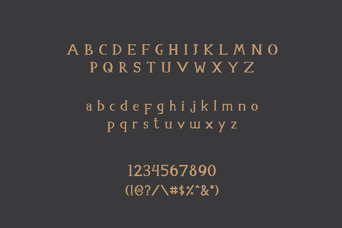 Clynia | Elegant Font Sans Serif, a Sans Serif Font by Artdez (Photo 3 of 4)