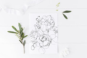 Peony flowers hand drawn card, a Card Template by TurquoiseDesign (Thumbnail 3 of 3)