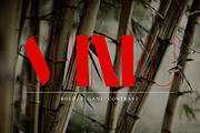 Kaiju II Font, a Font by Anthony James (Thumbnail 4 of 5)