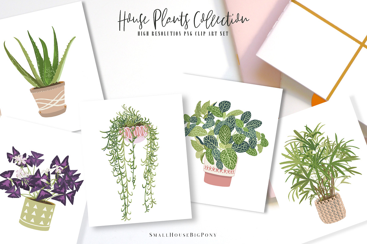 House Plants Collection Set II, a Graphic by SmallHouseBigPony (Photo 5 of 21)