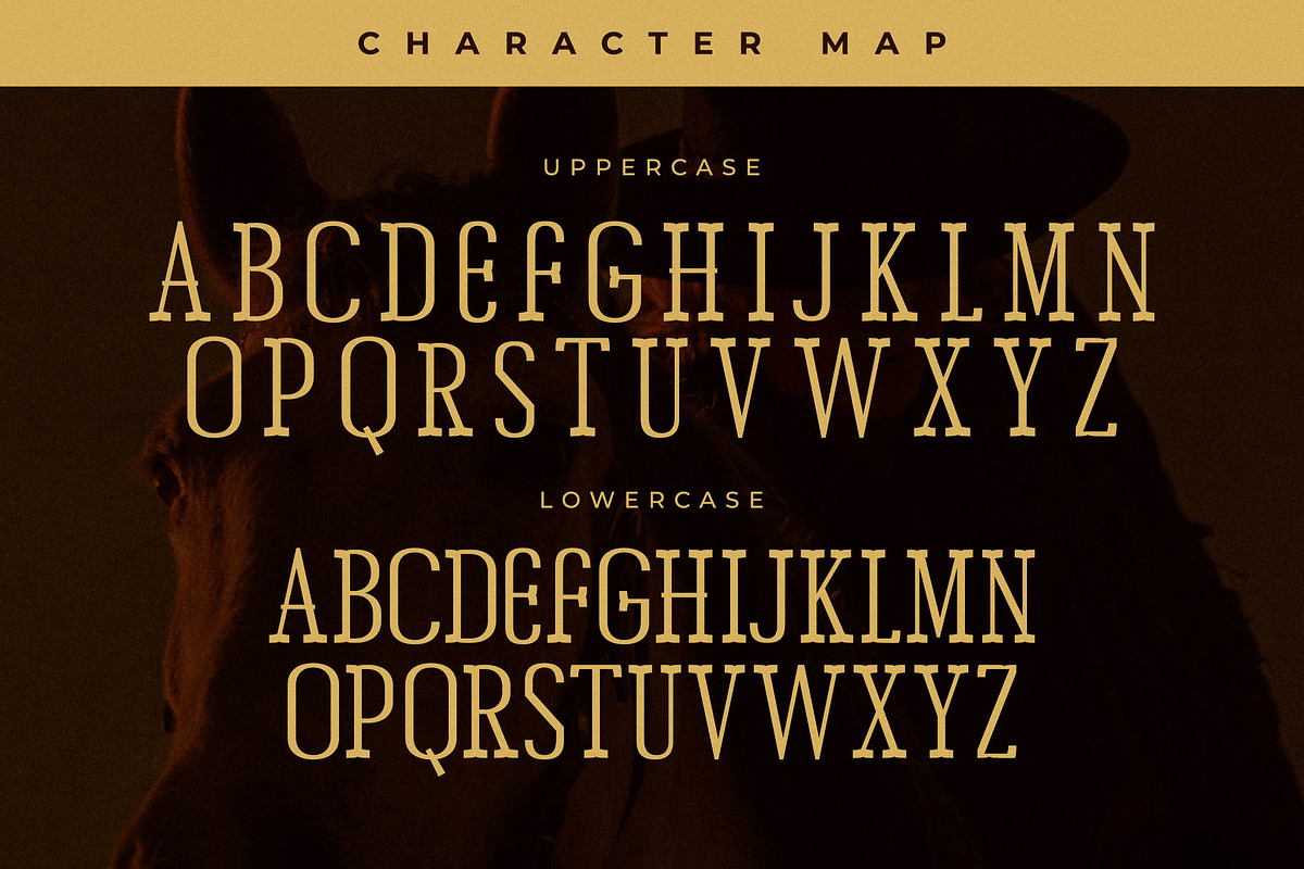 Chery Bomber A Slab Serif Display, a Slab Serif Font by Storytype Studio (Photo 12 of 15)