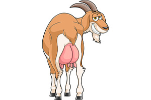 Smiling Female Goat Character, an Illustration by HitToon
