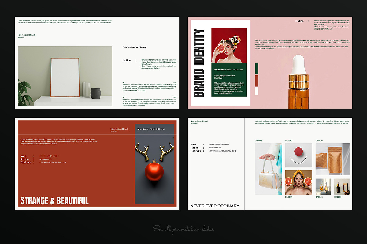Portfolio Presentation Template, a Presentation Template by E-Type (Photo 3 of 5)
