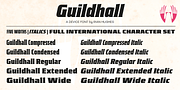 Guildhall, a Serif Font by Device (Thumbnail 8 of 8)
