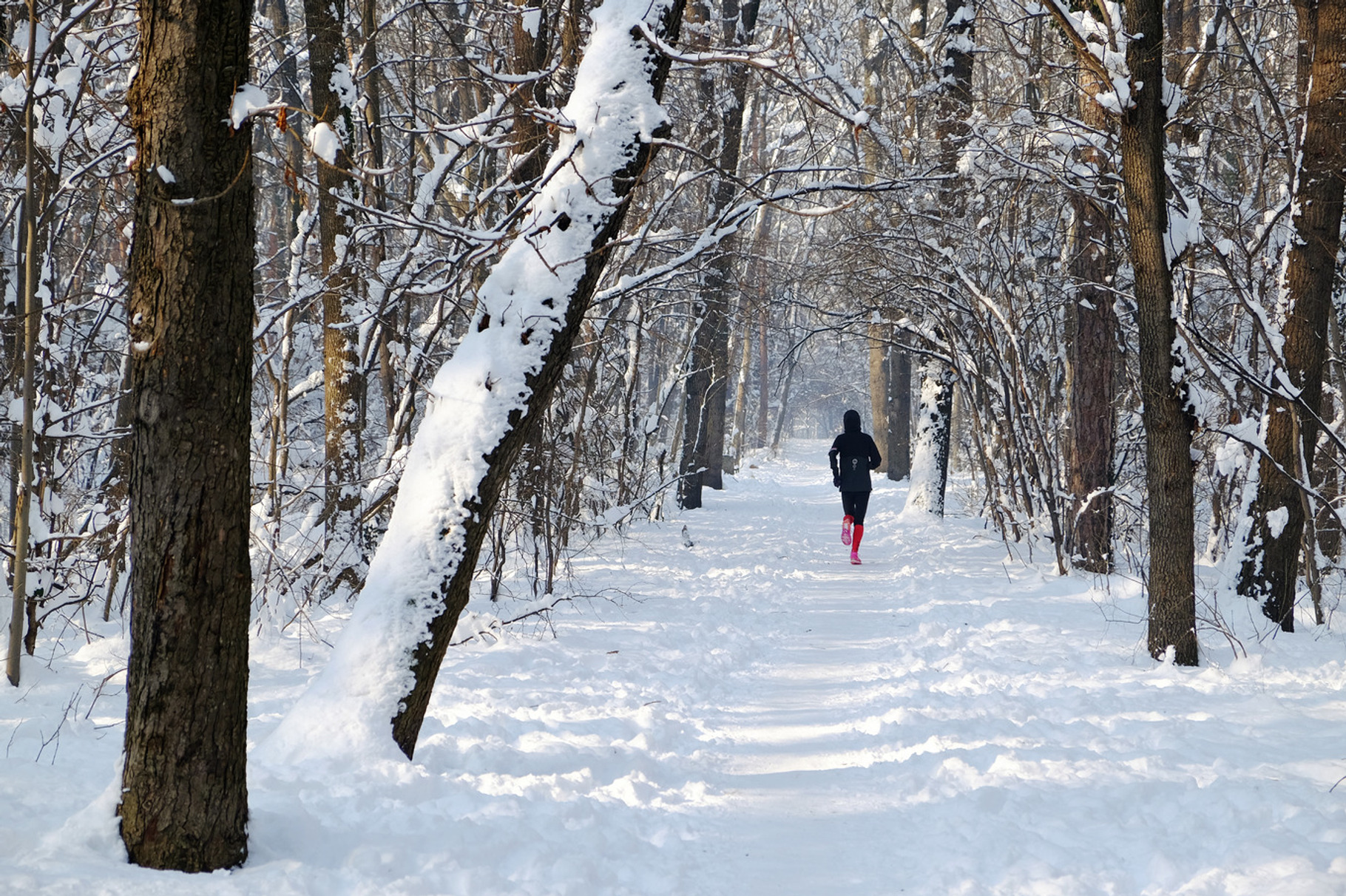 Running in a winter morning, a Sports & Recreation Photo by rumen.penchev