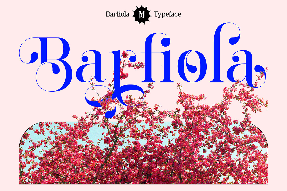 Barfiola Typeface, a Serif Font by MJtypefoundry (Photo 1 of 14)