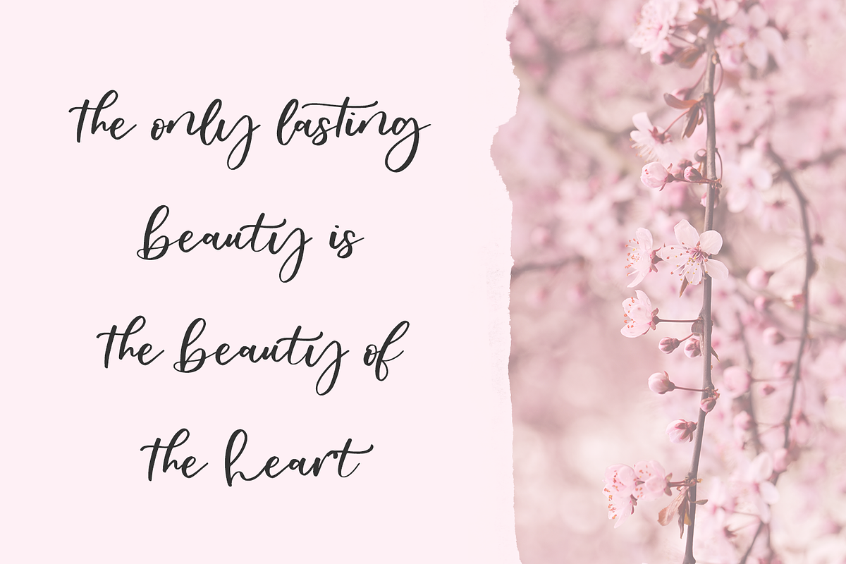 Oakley May Script, a Script Font by Beck McCormick (Photo 4 of 9)