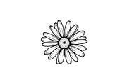 Daisy Flower Line Art Vector Bundle0, an Illustration by jahid234 (Thumbnail 39 of 51)