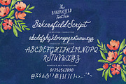 The Bakersfield Font Trio, a Handwritten Font by Nicky Laatz (Thumbnail 15 of 18)