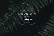 640 Premade Logos Mega Bundle, a Branding & Logo Template by XpertgraphicD (Thumbnail 91 of 109)