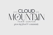 SALE! Modern Heritage font duo, a Serif Font by VP Fonts (Thumbnail 14 of 23)