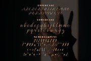 Brugundy Script Fonts, a Script Font by mahstudios (Thumbnail 10 of 13)