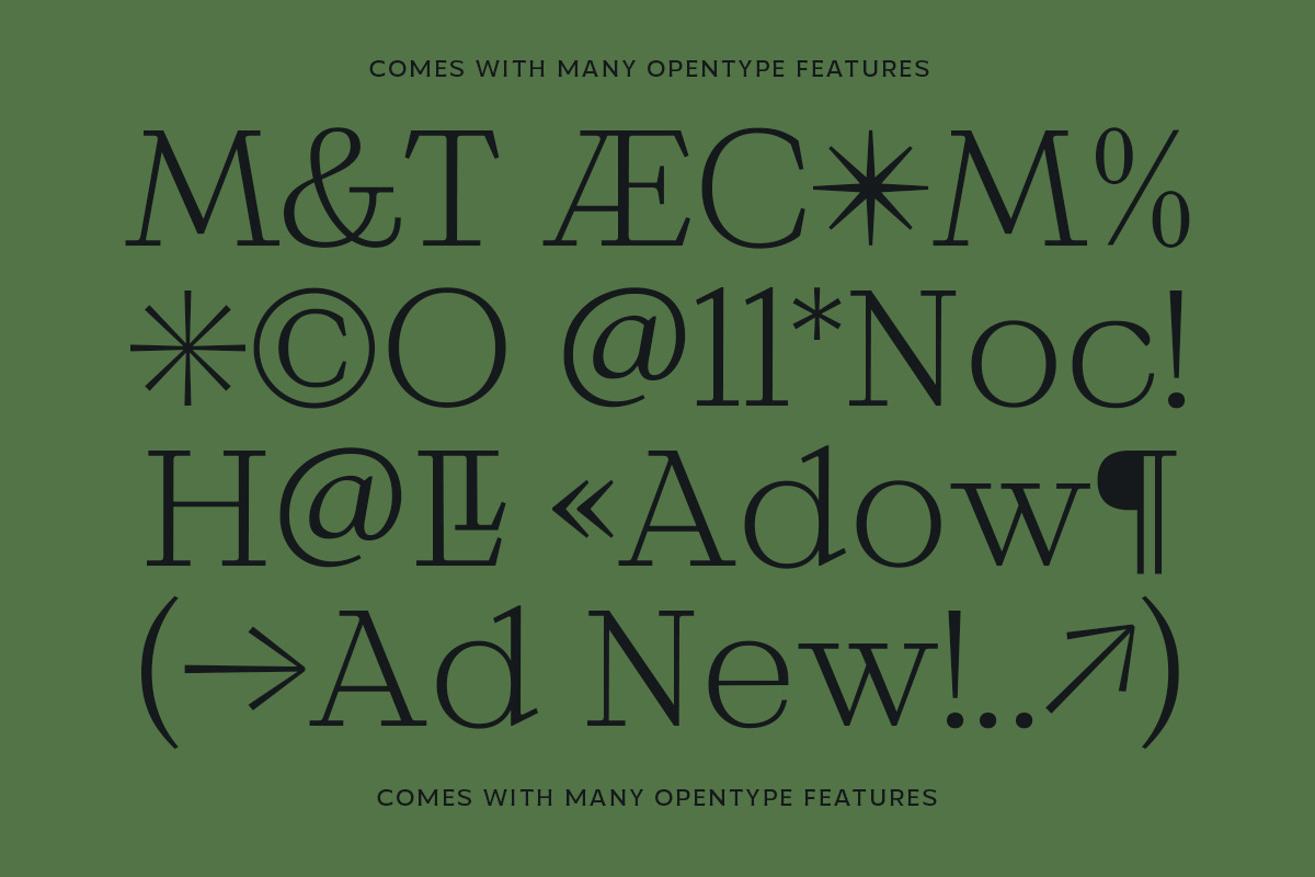 MTC Maglita, A Slab Variable Display, a Slab Serif Font by Martype Co (Photo 2 of 12)
