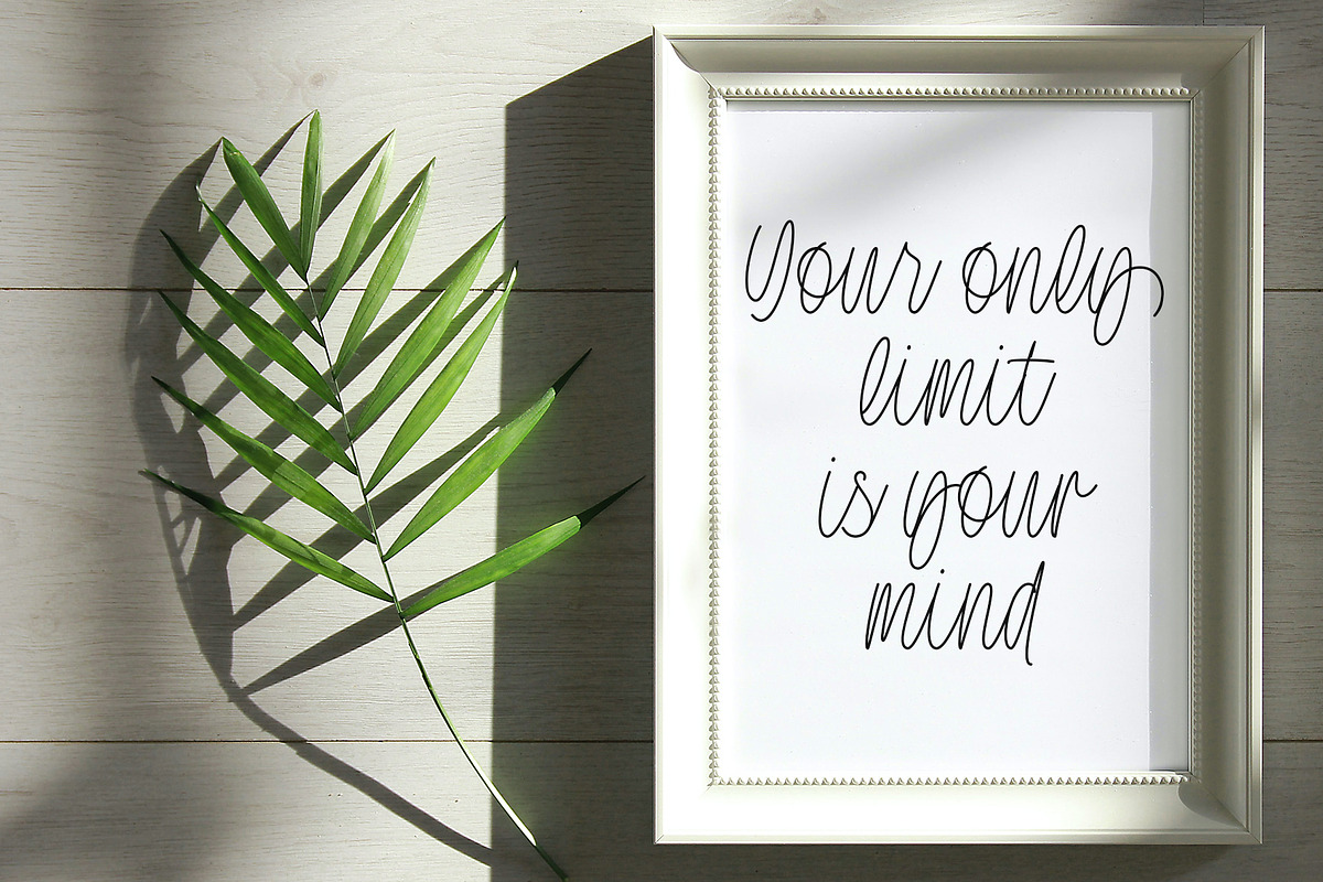 Patternly | Monoline Script, a Script Font by Lemonthe (Photo 6 of 9)