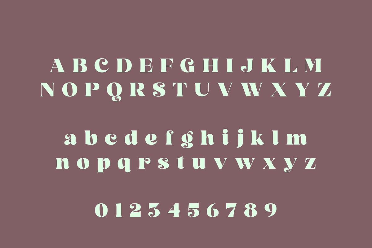 Leguar – A Modern Serif, a Serif Font by Creative Foundry (Photo 7 of 8)