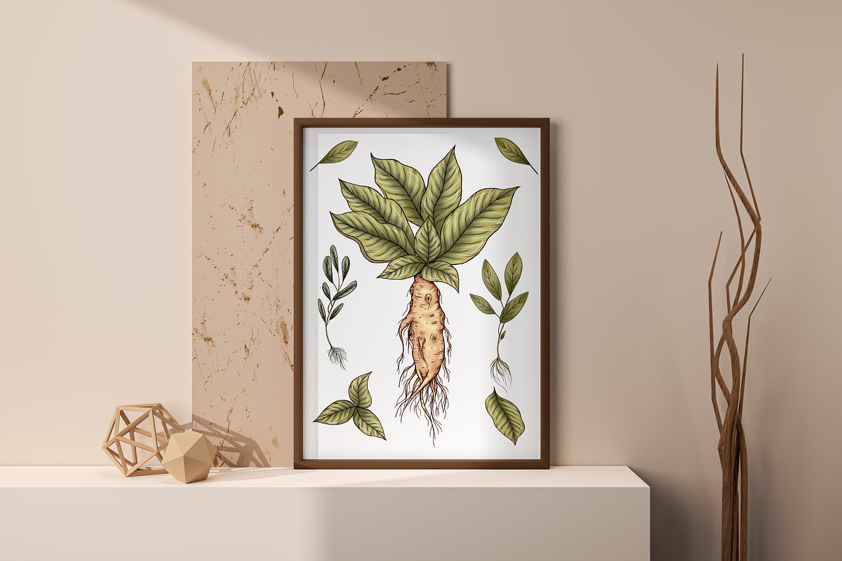 Herbal Magic clipart set, an Illustration by Mrs.Swan_Design (Photo 6 of 7)