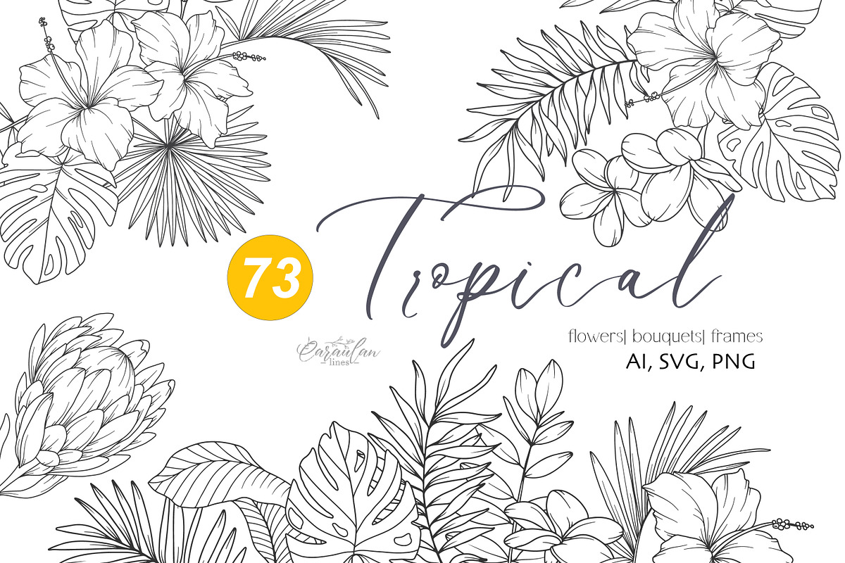 Tropical Plants Line Art, a Seasonal Illustration by CaraulanStore (Photo 1 of 9)