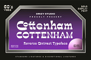 Cottenham, a Font by Drizy (Thumbnail 1 of 9)