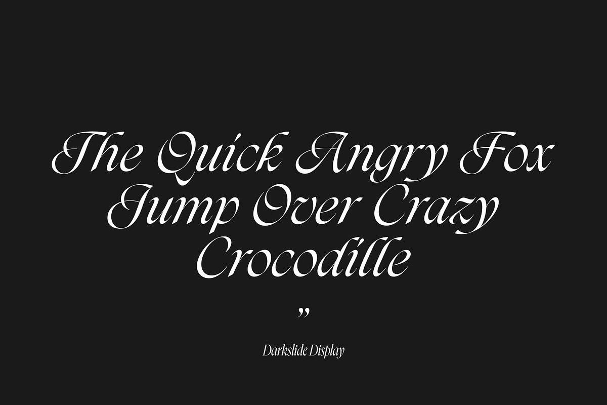 Darkslide - Elegant Display Serif, a Font by Swandtype (Photo 8 of 9)