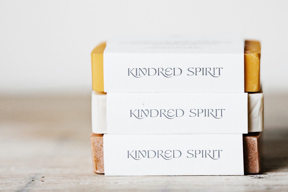 Seaker - Serif Typeface, a Serif Font by Tropical Type (Photo 10 of 12)